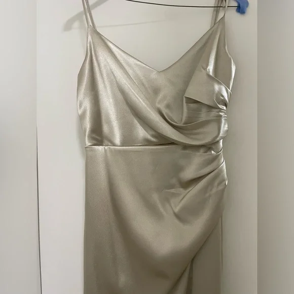 Birdy Grey Neutral Champagne Dress - Picture 5 of 6